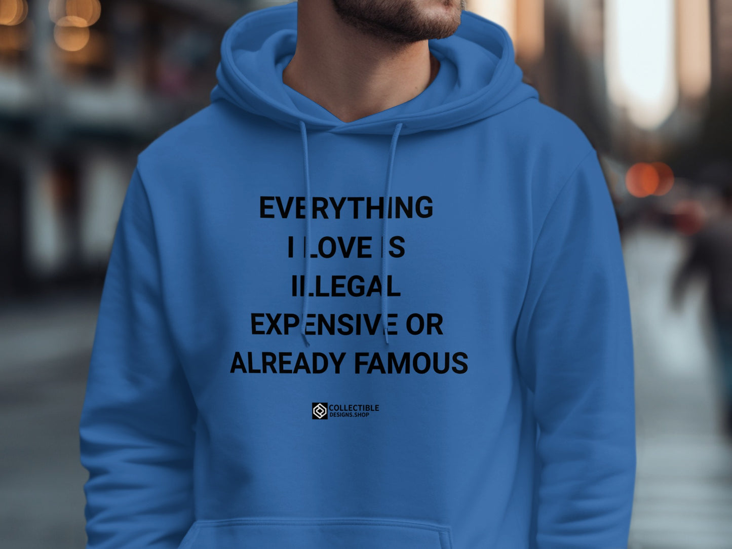Everything I Love Is Illegal Expensive Hoodie