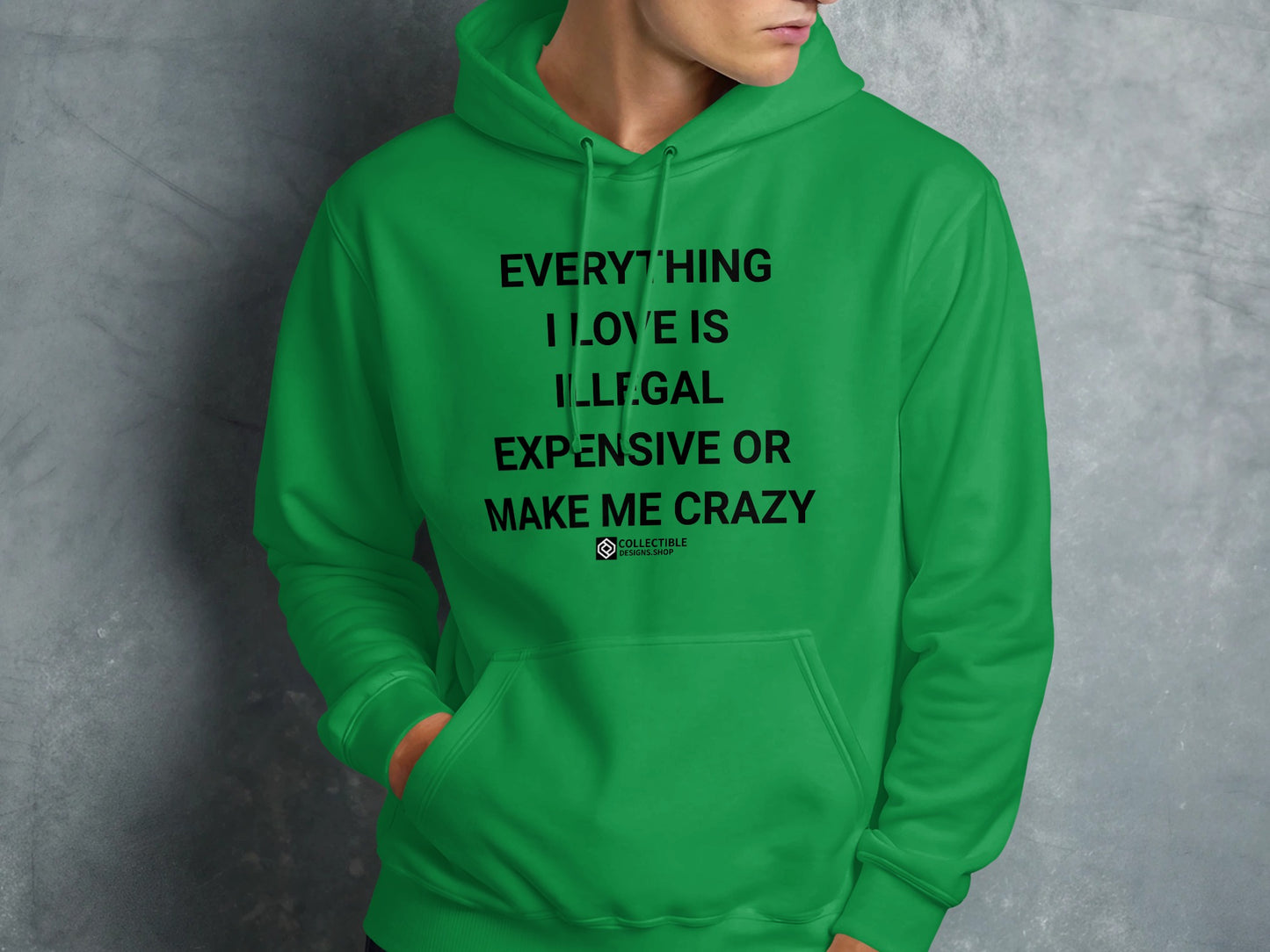 Everything I Love Is Illegal Expensive Hoodie