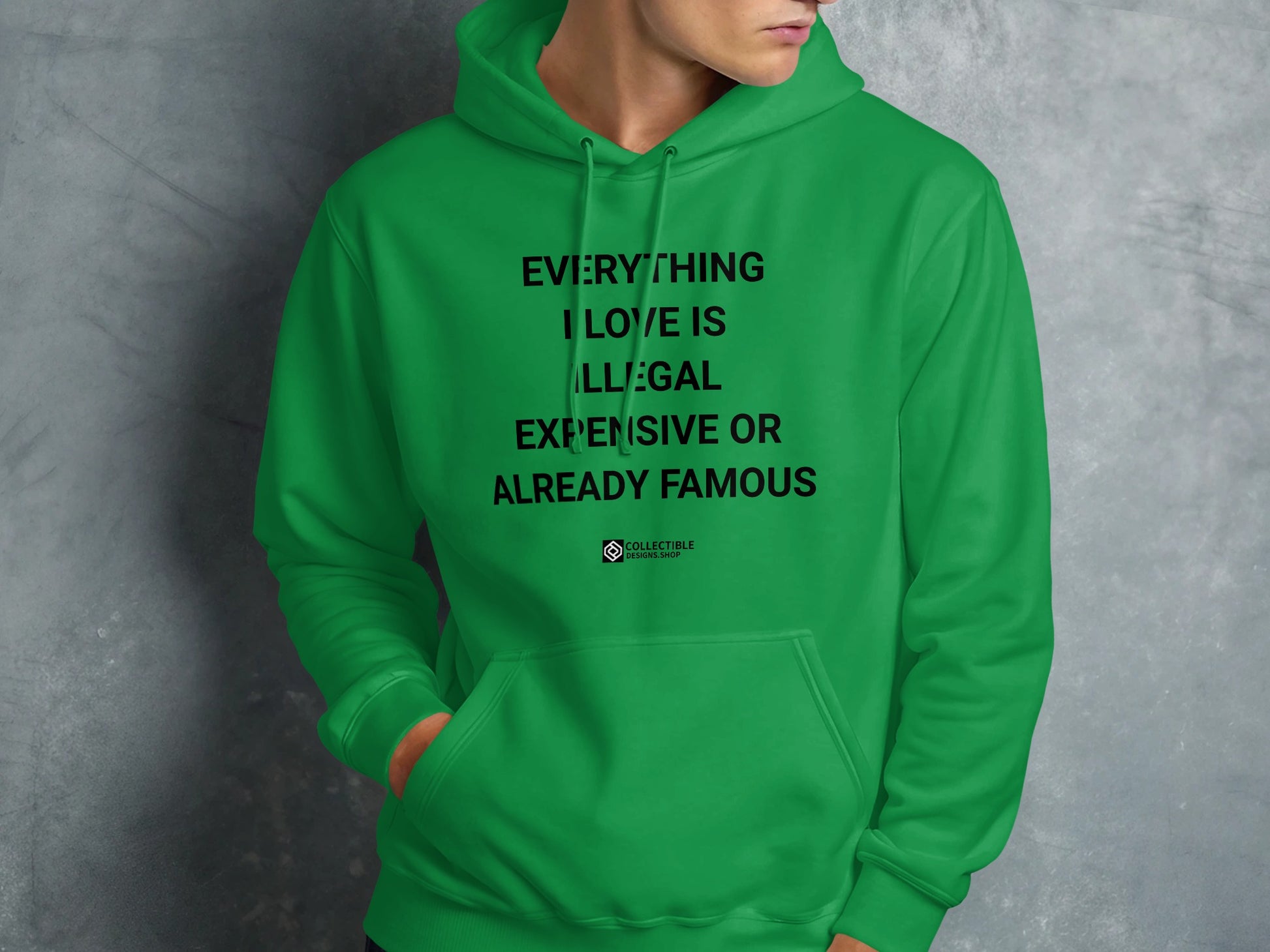Everything I Love Is Illegal Expensive Hoodie