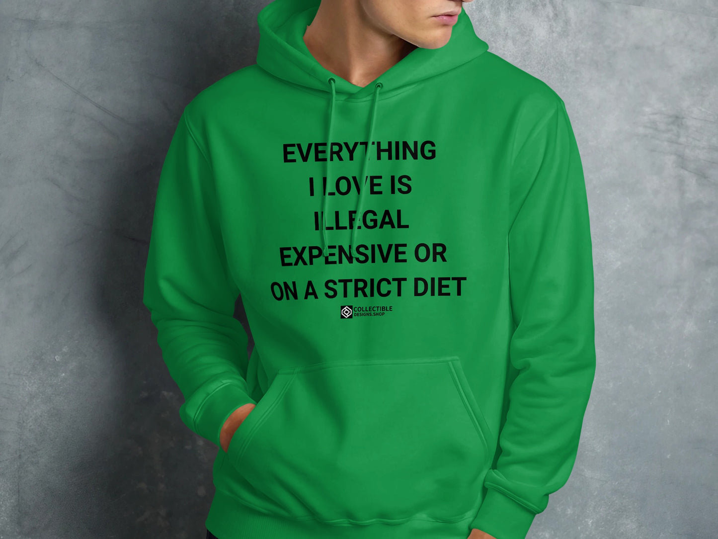 Everything I Love is Illegal Expensive Diet hoodie