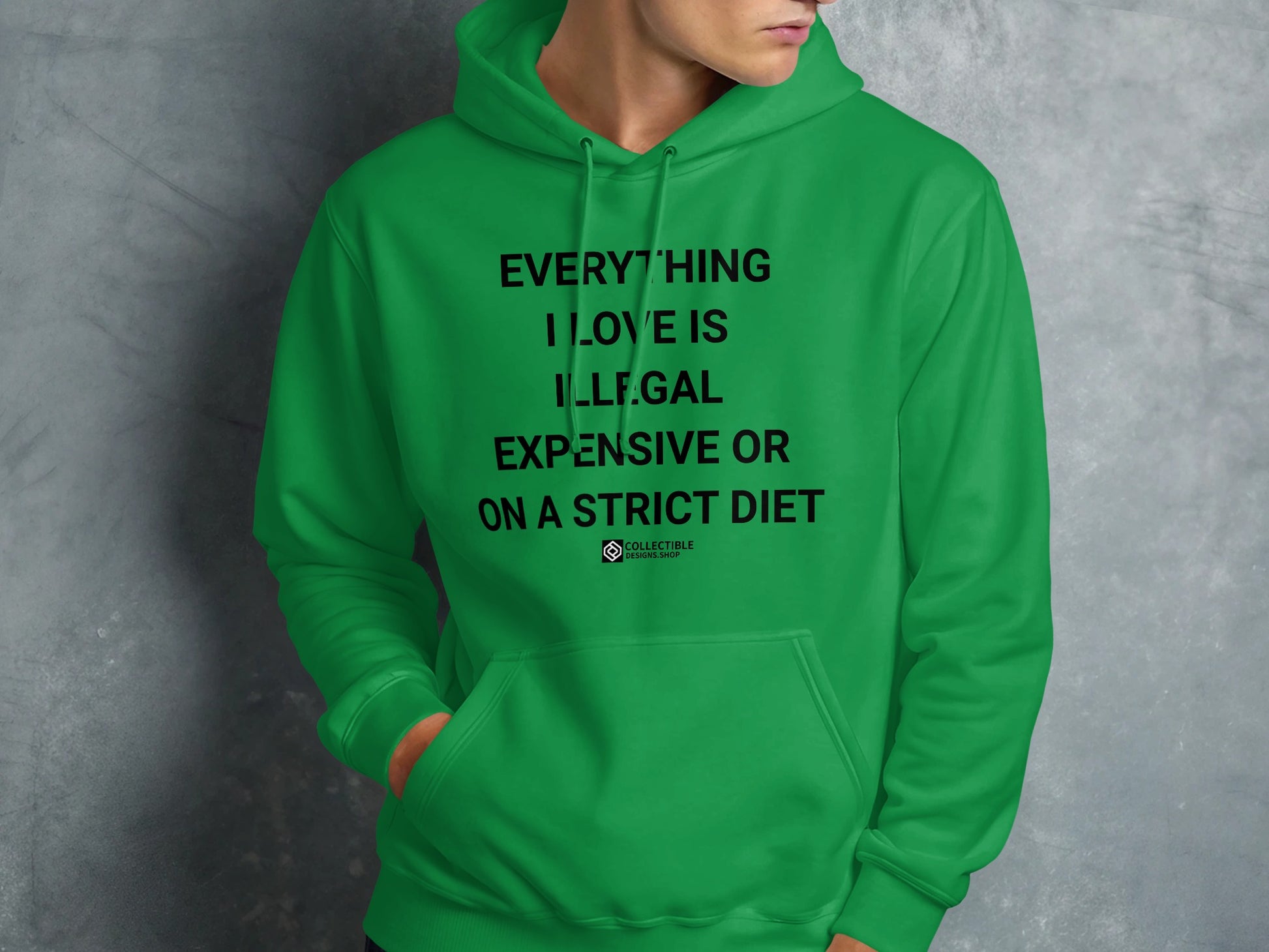 Everything I Love is Illegal Expensive Diet hoodie