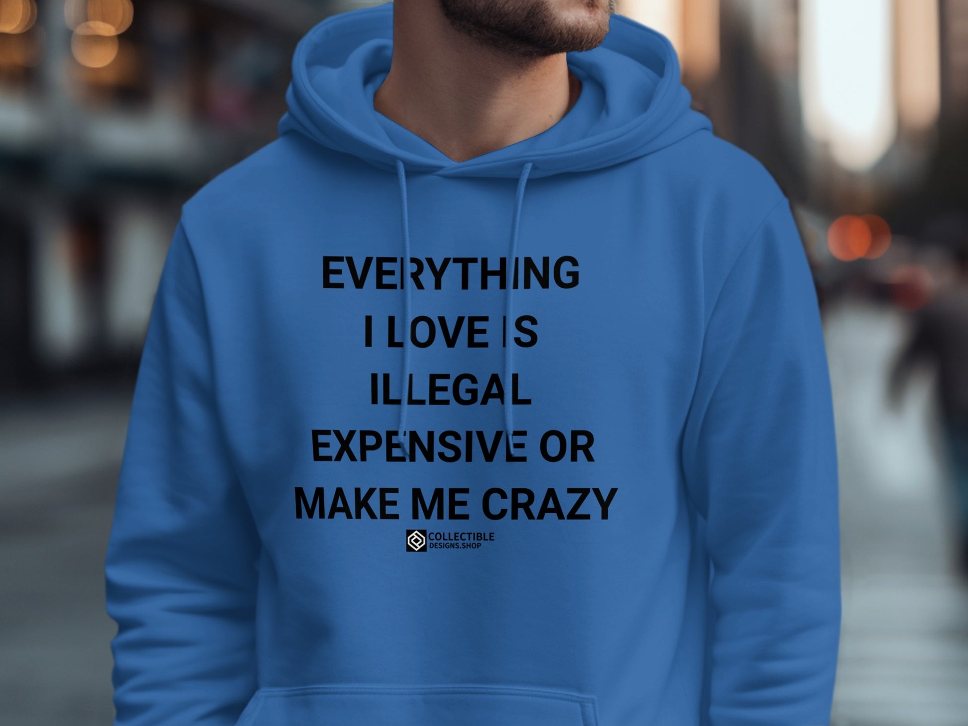 Everything I Love Is Illegal Expensive Crazy Hoodie