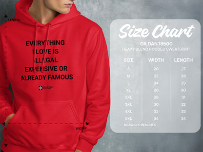 Everything I Love Is Illegal Hooded Sweatshirt