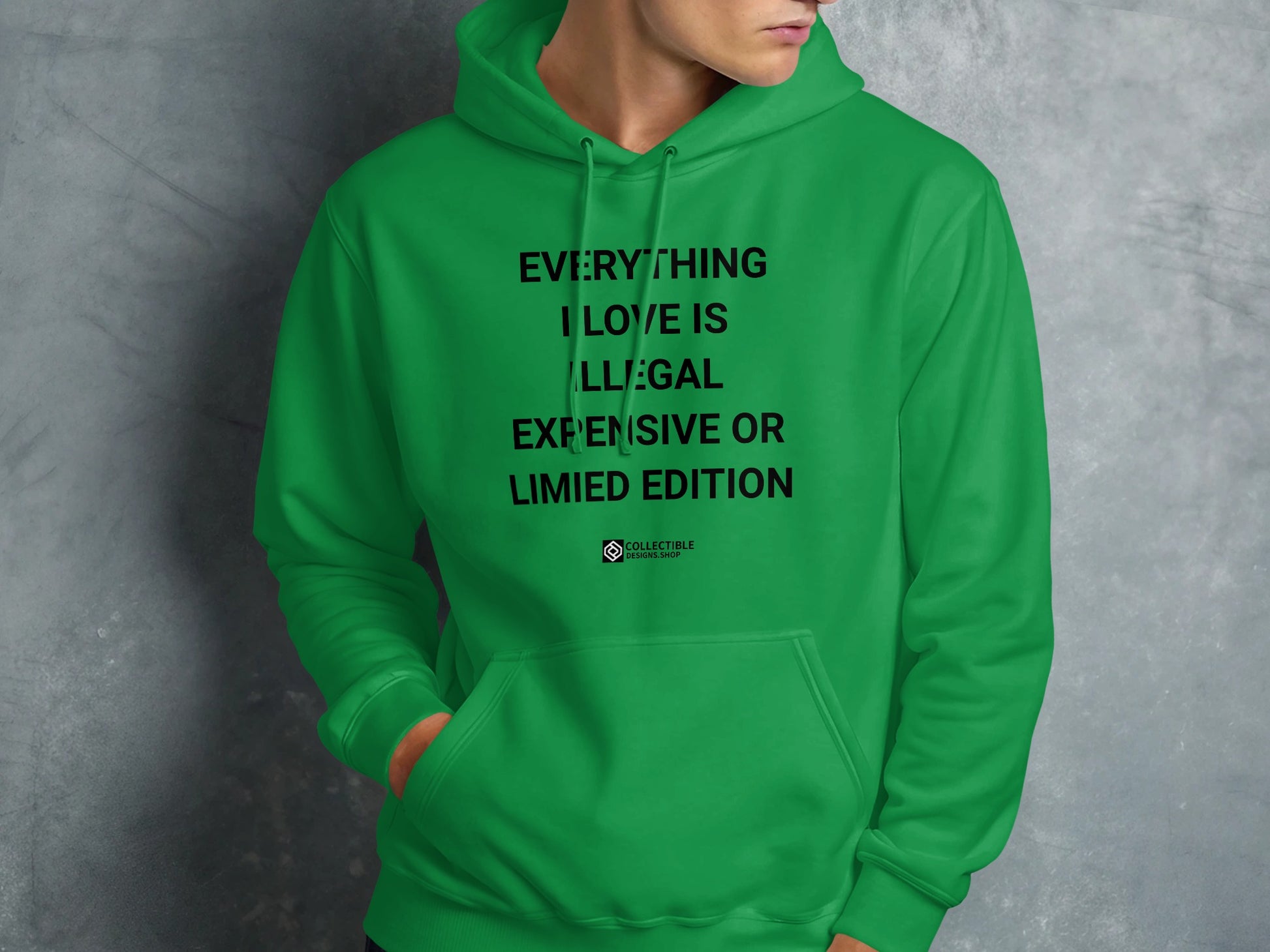 Everything I Love Is Illegal Expensive Hoodie