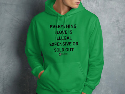 EVERYTHING I LOVE IS ILLEGAL EXPENSIVE OR SOLD OUT hoodie