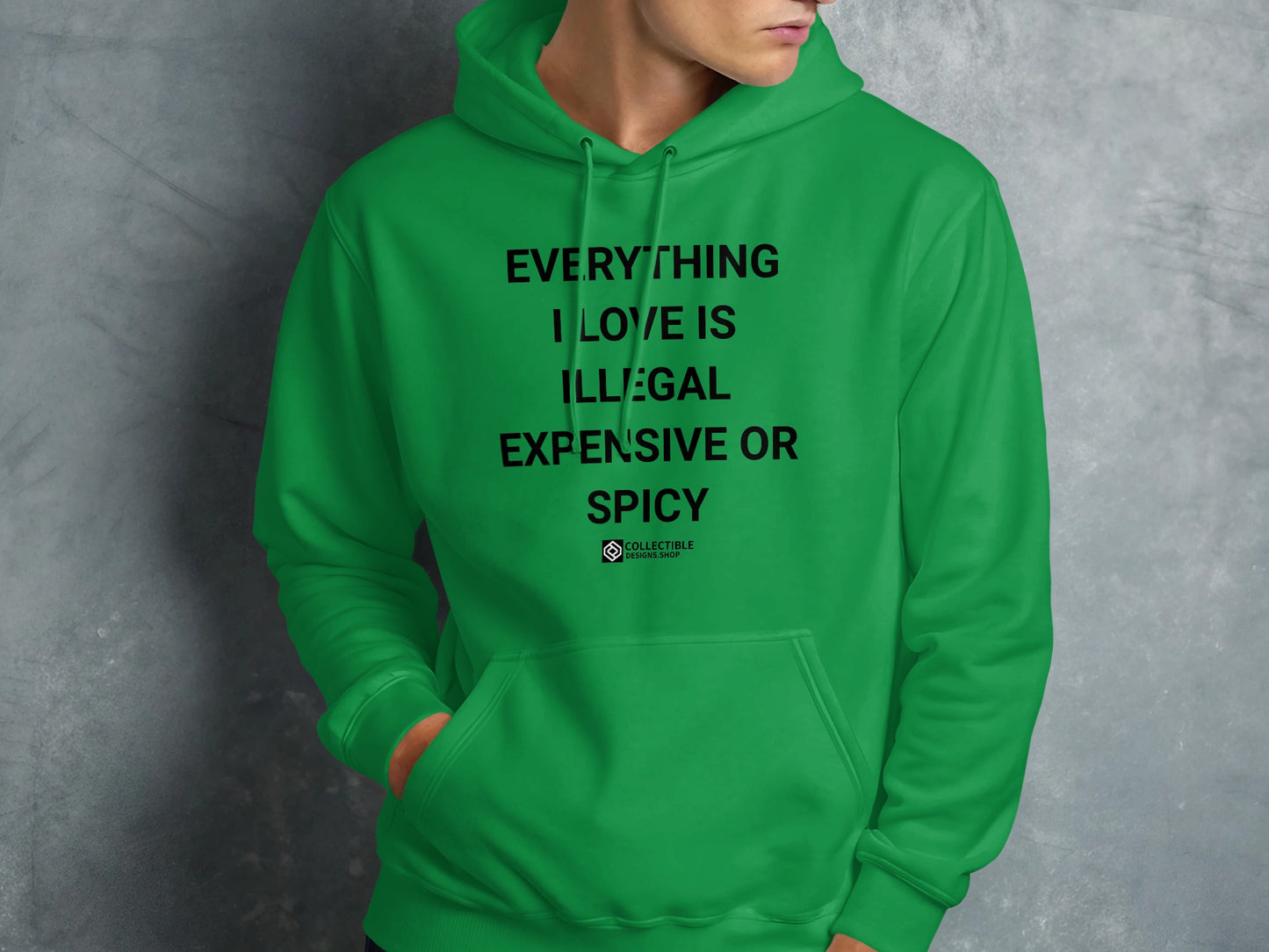EVERYTHING I LOVE IS ILLEGAL EXPENSIVE OR SPICY hoodie