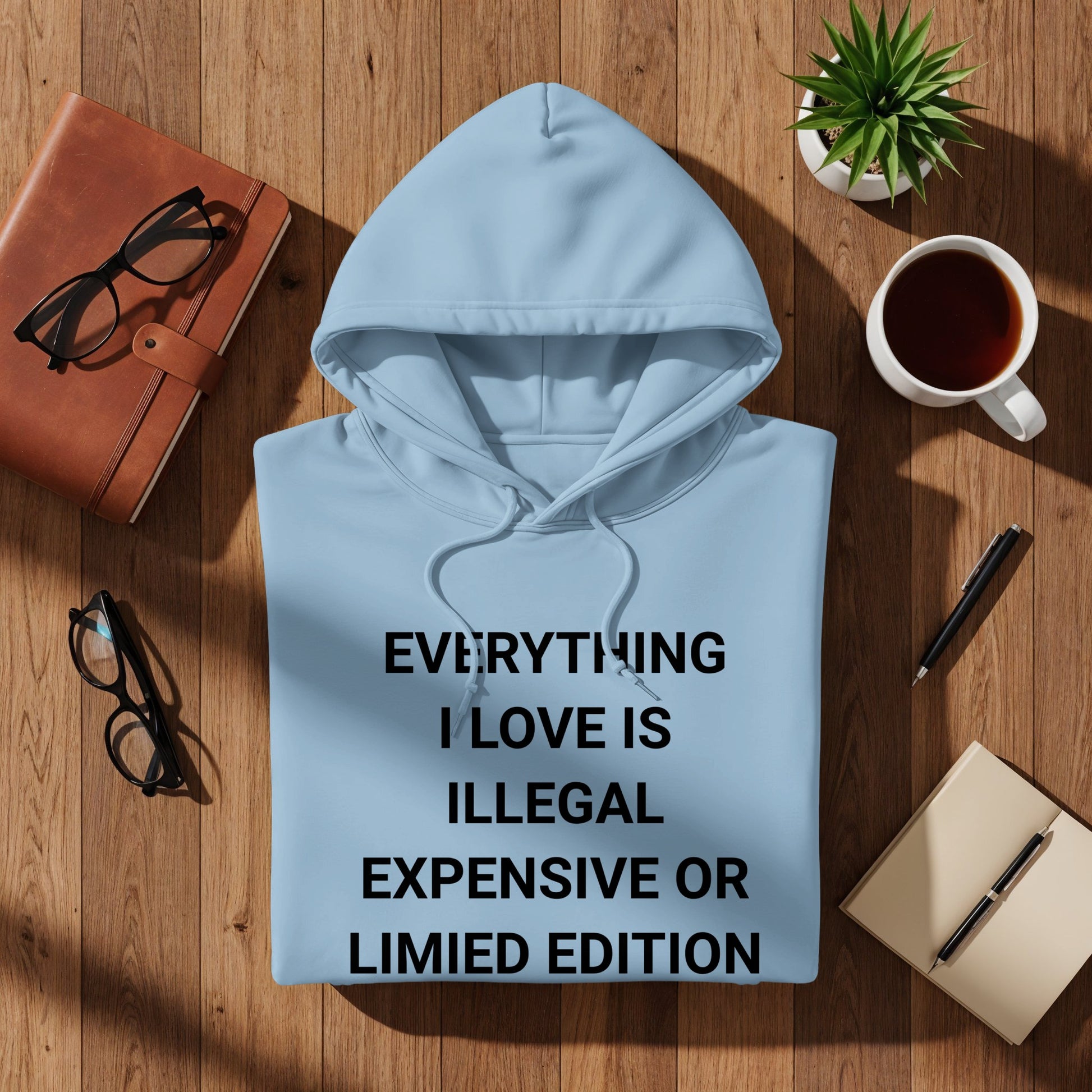 EVERYTHING I LOVE IS ILLEGAL EXPENSIVE OR LIMITED EDITION hoodie