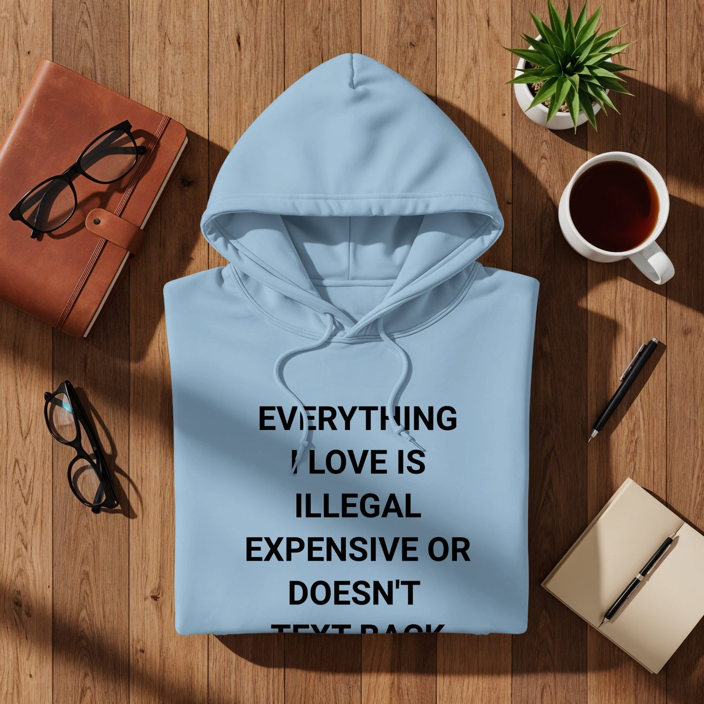 Everything I Love is Illegal Expensive Hoodie