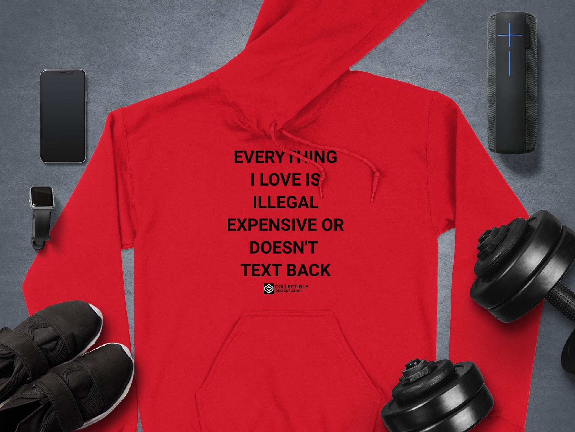 Everything I Love Is Illegal Hoodie Product