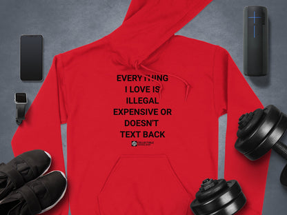 Everything I Love Is Illegal Hoodie Product