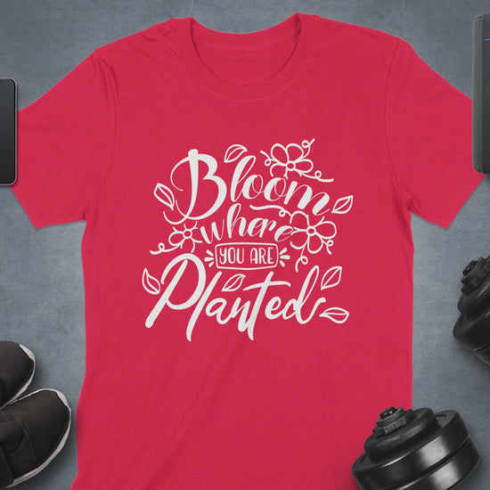 998f3f15-4283-49fa-bb52-d5c697c0fdb0